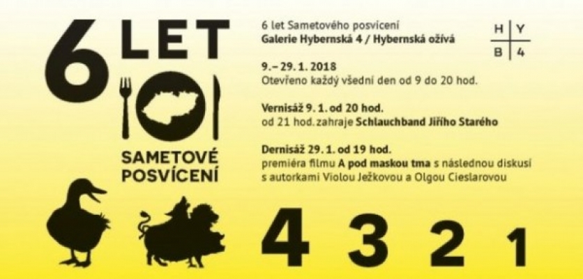 Obrázek pro Výstava 6 let Sametového posvícení