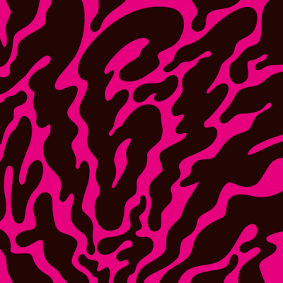 Obrázek pro 16 - 17 - Phantom Limb (LP)