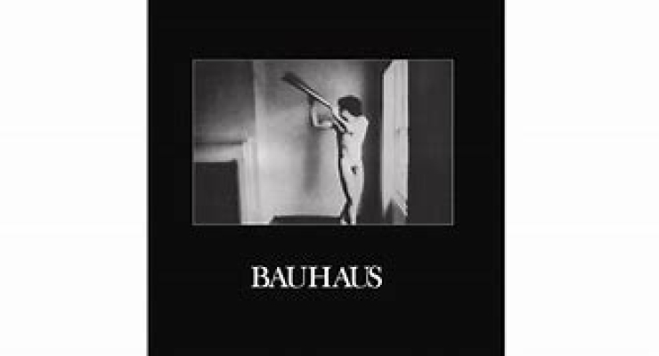Obrázek pro Bauhaus - IN THE FLAT FIELD (LP + CD)