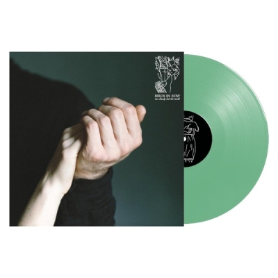 Obrázek pro Bird in Row - We Already Lost the World (LP)