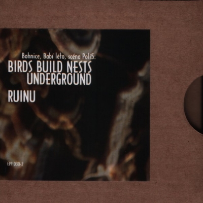 Obrázek pro Birds Build Nests Underground / Ruinu -