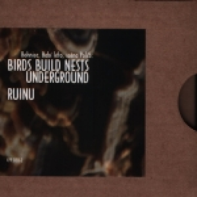 Obrázek pro Birds Build Nests Underground / Ruinu - BOHNICE, BABÍ LÉTO, SCÉNA POLÍ5 (SPLIT)