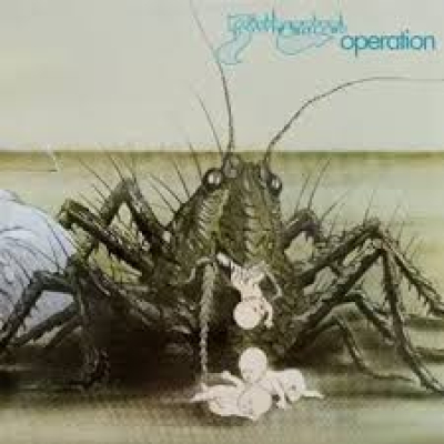 Obrázek pro BirthControl - Operation (LP)