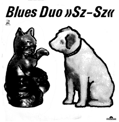 Obrázek pro Blues Duo - SZ - ST (LP)