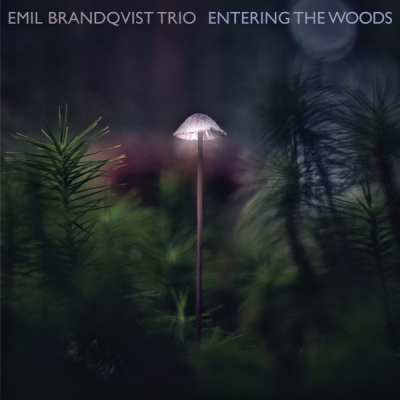 Obrázek pro Brandqvist Emil Trio - Entering The Woods (LP 180G)