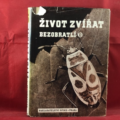 Obrázek pro Breindl V. a kol. - Život zvířat. Bezobratlí II