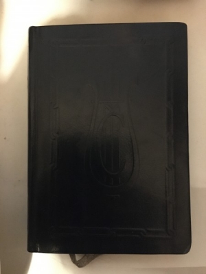 Obrázek pro Čech Svatopluk - Písně otroka