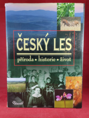 Obrázek pro Český les