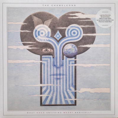 Obrázek pro Chameleons - What Does Anything Mean? Basically (LP)