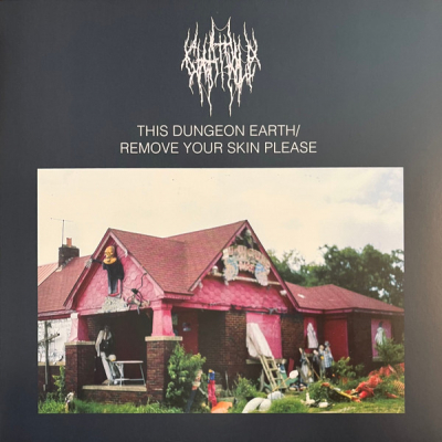 Obrázek pro Chat Pile - This Dungeon Earth / Remove Your Skin Please (LP blue ))