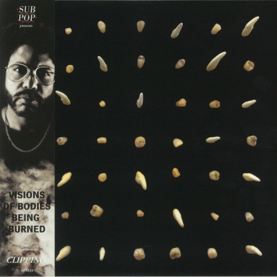 Obrázek pro clipping - Visions Of Bodies Being Burned (2LP COLOUR PRESSING)