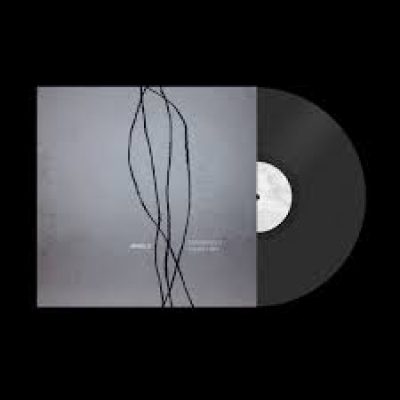 Obrázek pro Contriology Tomáš Vtípil - Minulo (LP)
