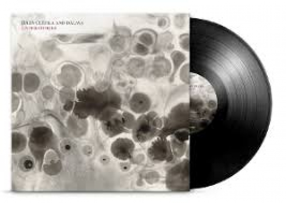 Obrázek pro Dálava a Úlehla Julia - Understories (LP)