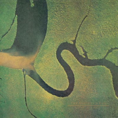 Obrázek pro Dead Can Dance - Serpents Egg (LP)