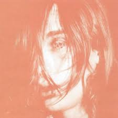 Obrázek pro Deerhunter - MICROCASTLE / WEIRD ERA CONT. (2LP)