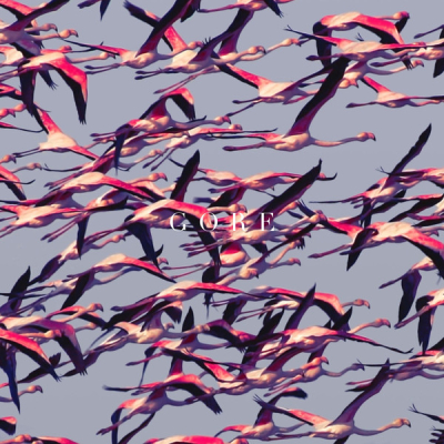 Obrázek pro Deftones - Gore (2LP White)