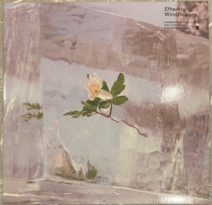 Obrázek pro Efterklang - Windflowers (LP Clear)