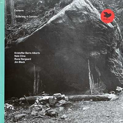 Obrázek pro Exoterm - Exits Into A Corridor (LP)