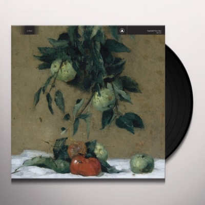 Obrázek pro Exploded View - Obey (LP)