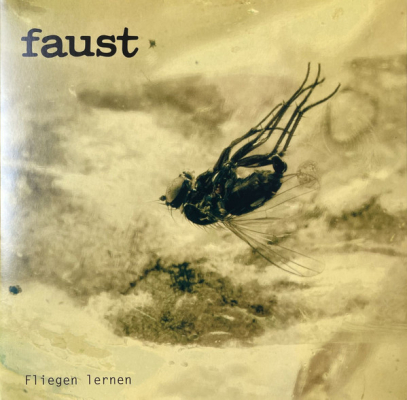 Obrázek pro Faust - Fliegen lernen (LP)