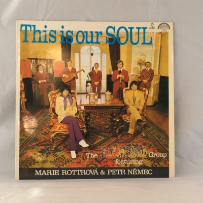 Obrázek pro Flamingo group feat. Marie Rottrová a Petr Němec - This is our soul