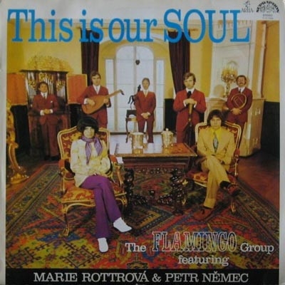 Obrázek pro Flamingo Group - This Is Your Soul