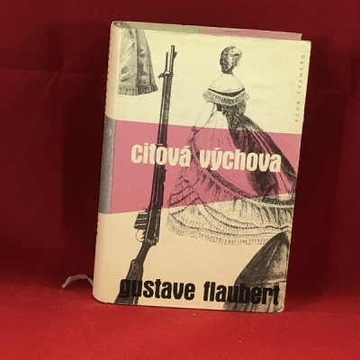Obrázek pro Flaubert Gustave - Citová výchova