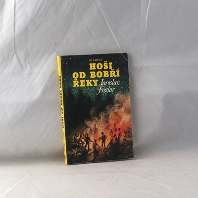 Obrázek pro Foglar Jaroslav - Hoši od bobří řeky