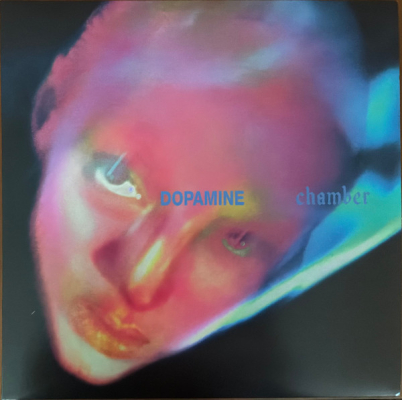 Obrázek pro Fontaines D.C. - Dopamine Chamber (LP)