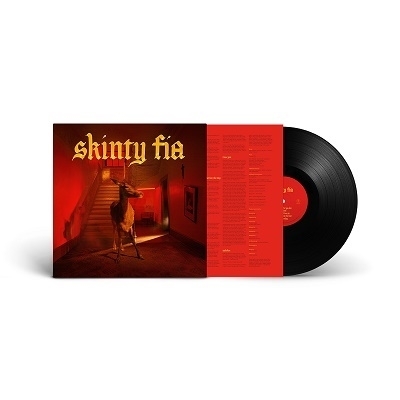 Obrázek pro Fontaines D.C. - Skinty Fia (LP)