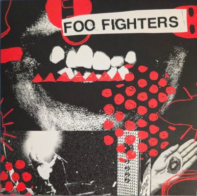 Obrázek pro Foo Fighters - Your Favorite Toy (LP Colour)