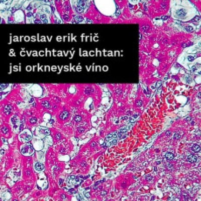 Obrázek pro Frič Jaroslav Erik, Čvachtavý lachtan - Jsi orkneyské víno / Ropa (2CD)