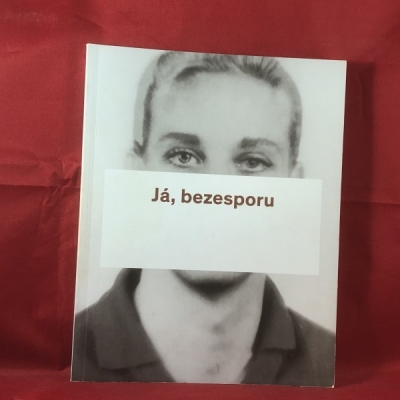 Obrázek pro Galerie Rudolfinum - Já, bezesporu