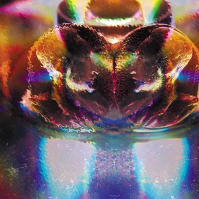 Obrázek pro Gang Gang Dance - A Glass Jar A Mindkilla (12")