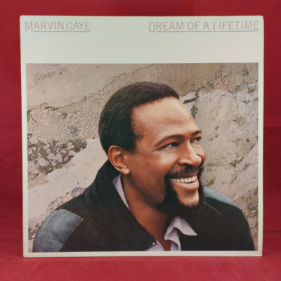 Obrázek pro Gaye Marvin - Dream of a lifetime