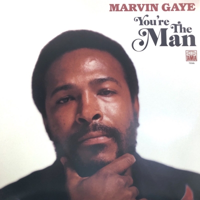 Obrázek pro Gaye Marvin - Youre The Man (2LP)