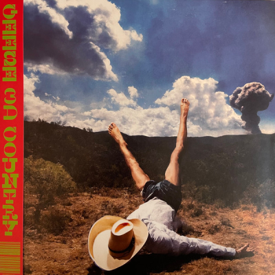 Obrázek pro Geese - 3D Country (LP)