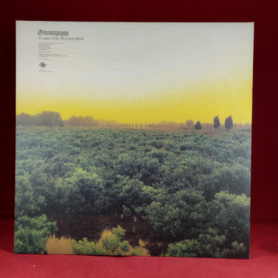 Obrázek pro Ginnungagap – Crashed Like Wretched Moth