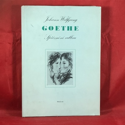 Obrázek pro Goethe - Spříznění volbou