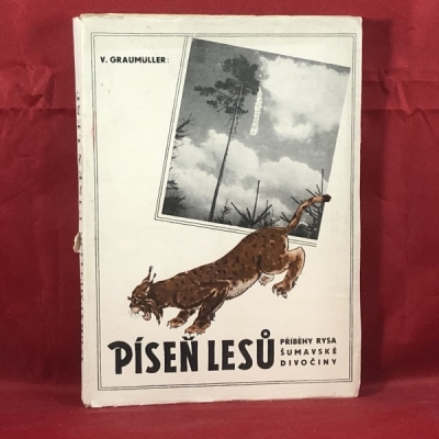 Obrázek pro Graumüller - Píseň lesů