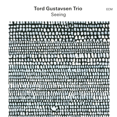 Obrázek pro Gustavsen Tord Trio - Seeing (LP)
