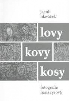Obrázek pro Hlaváček Jakub - Lovy kovy kosy