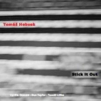 Obrázek pro Hobzek Tomáš - Stick It Out