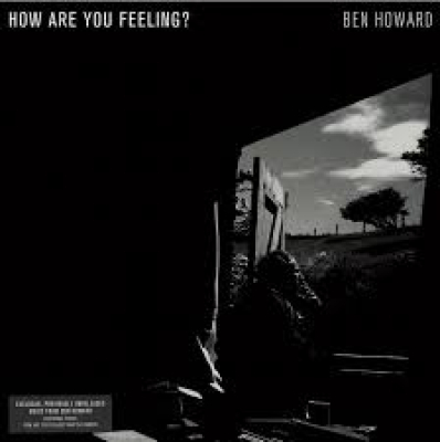 Obrázek pro Howard Ben - How Are You Feeling? (12")