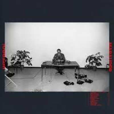 Obrázek pro Interpol - Marauder (LP)