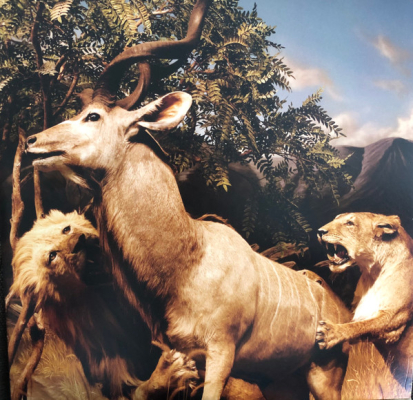 Obrázek pro Interpol - Our Love To Admire (2LP GZ Pressing)