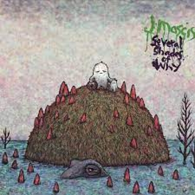Obrázek pro J Mascis - Several Shades Of Why (LP)