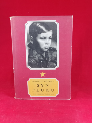 Obrázek pro Katajev Valentin - Syn pluku