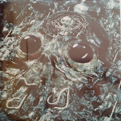 Obrázek pro King Gizzard And The Lizard Wizard - Alien Metal (LP)