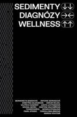 Obrázek pro kolektiv autorů - Sedimenty diagnózy wellness